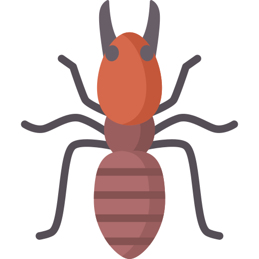 Anti-Termite Icon