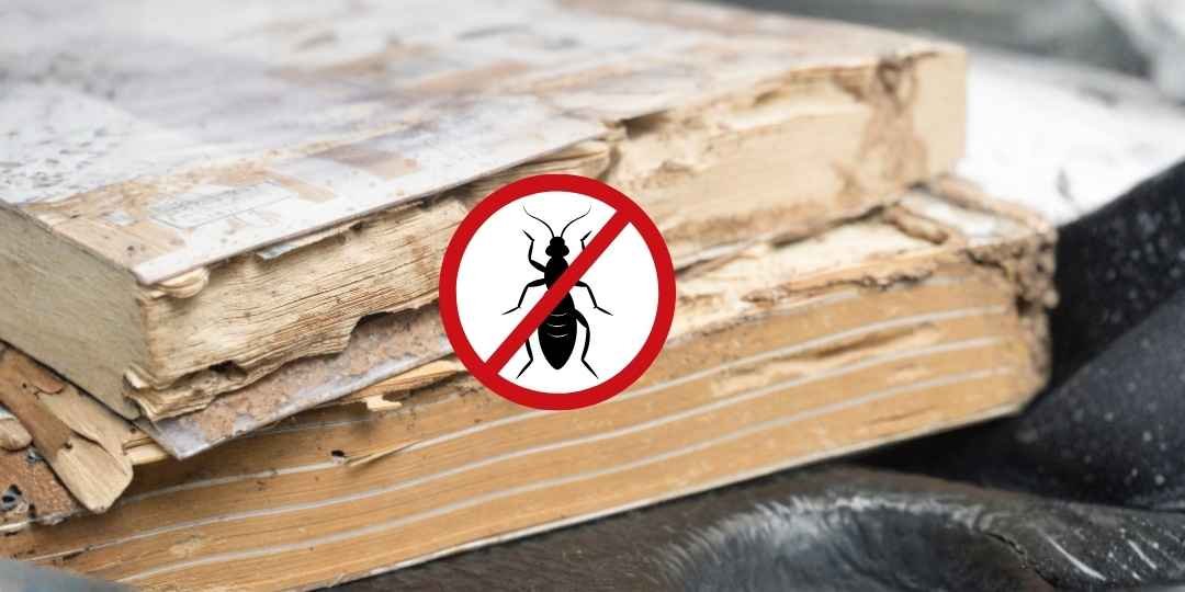 Anti Termite Stone Paper